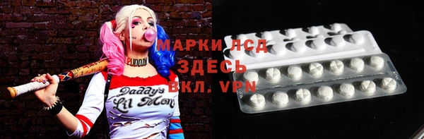 мдпв Вяземский