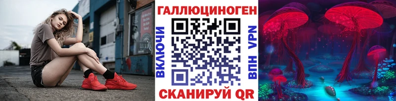 Купить где  Лесозаводск  Галлюциногенные грибы Cubensis 
